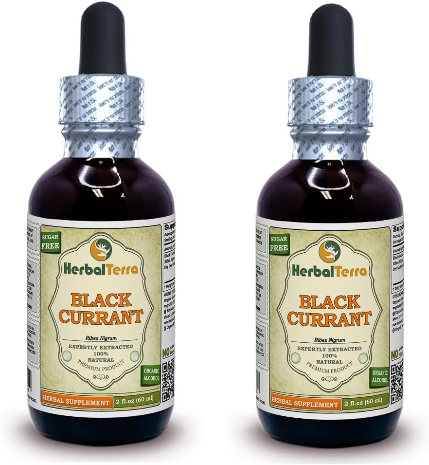 Black Currant (Ribes nigrum) Glycerite, Dried Leaves Alcohol-Free Liquid Extract (Brand Name: HerbalTerra, Proudly Made in USA) 2x2 fl.oz (2x60 ml)