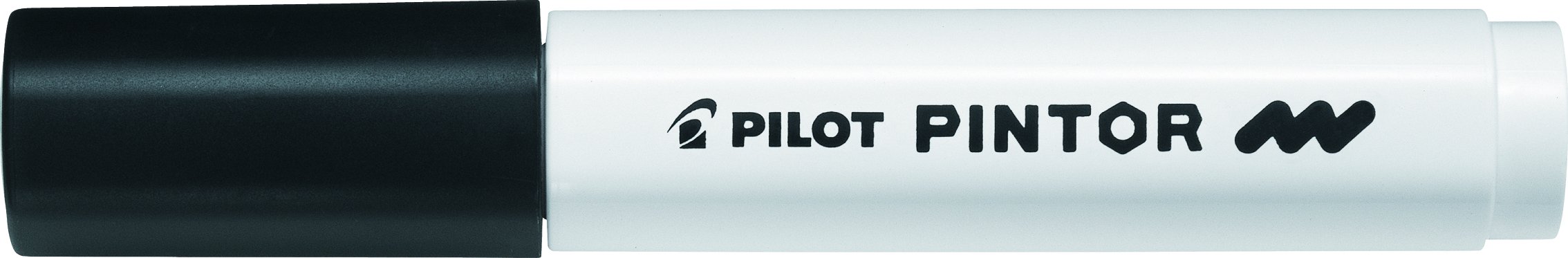PILOTPintor Multi Surface Medium Line Permanent Marker Pens - Writes on All Surfaces! (Black)