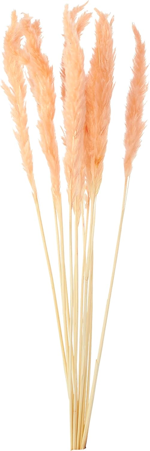 Pack of 6 Smooth Dried Green Pampas Grass - 60 Inch Tall Greenery Décor Grass for Hotel, Restaurants, Home Decoration, Real Dried Grass Outdoor Indoor Home Décor Accessories