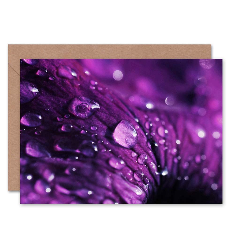 Wee Blue Coo Beads Of Water Drops On Voilet Flower Petal Blank Greetings Card
