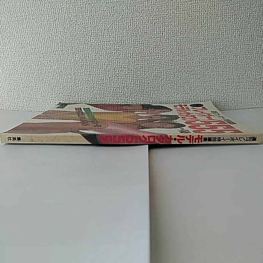 Amazon.co.jp: 週刊 プレイボーイ 特別編集 モデル カタログ 555