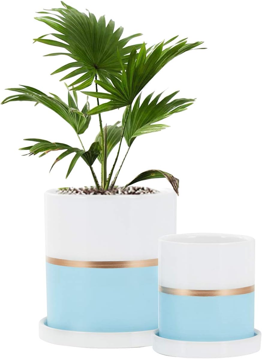Fieren White Ceramic Flower Pot Garden Planters 6inch & 4inch Large Plant Indoor Pot Containers White Texture and Gold Detail Ceramic Garden Pot Tray for Indoor Planter White Planter Blue&White