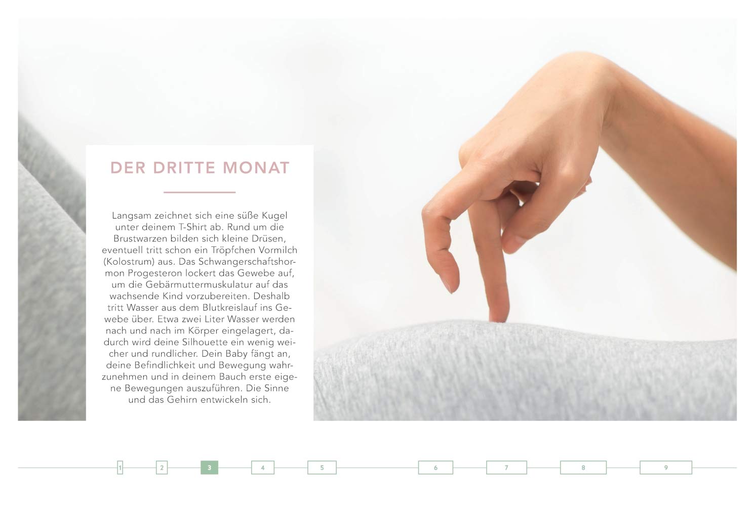 Das Monats-Kochbuch für Schwangere: Monat für Monat die perfekte Nährstoffpower (GU Familienküche)