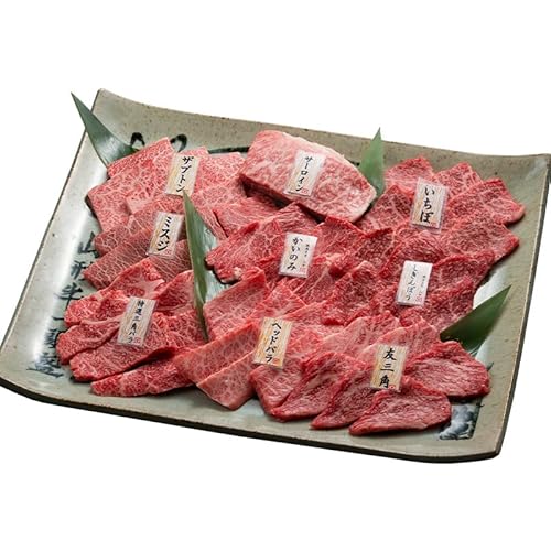 焼肉名匠山牛一頭盛焼肉セット 約900g[特製山牛一頭盛皿付き] FY20-695 ブランド牛肉 焼肉用 山形県 山形市