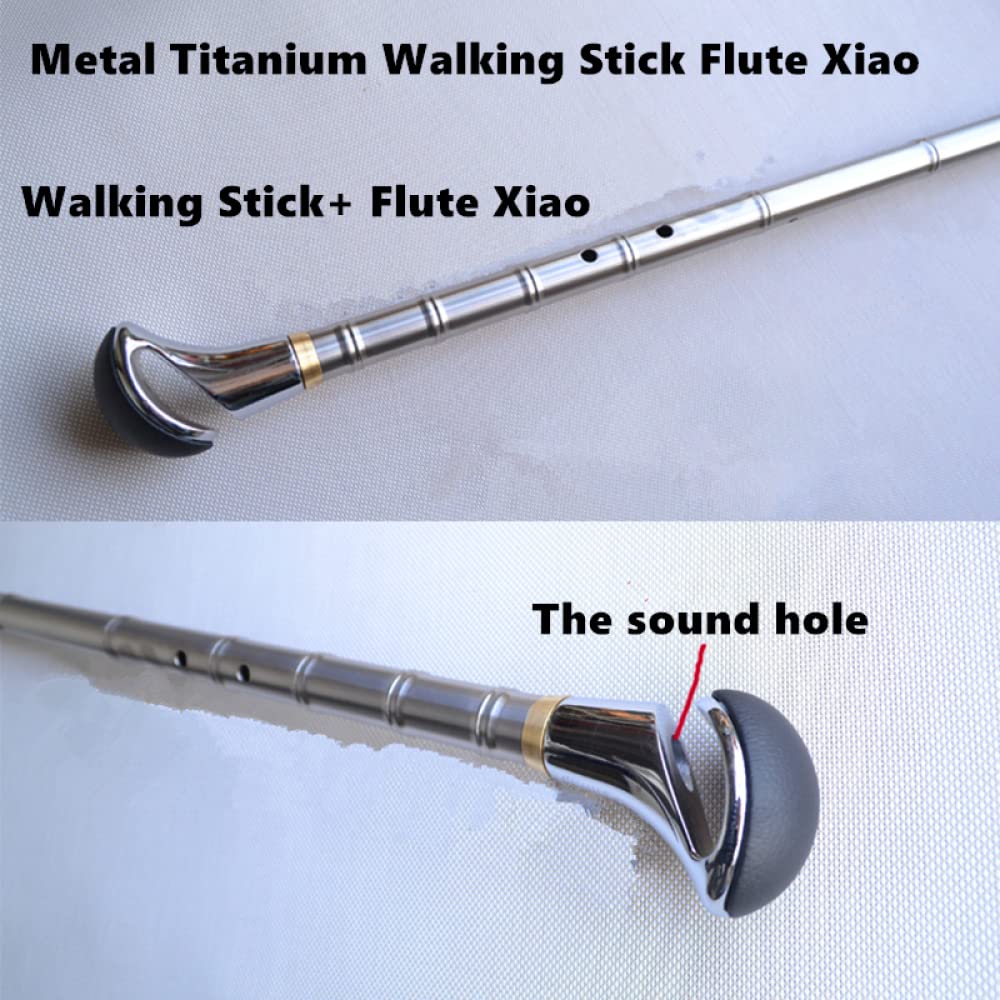 TsoLay Flet dla początkujących, 89 cm, metalowy flet tytanowy, klapa G/F, pionowy, dudy, klarnet, flet dla początkujących, idealny do gry na fletach, instrument muzyczny