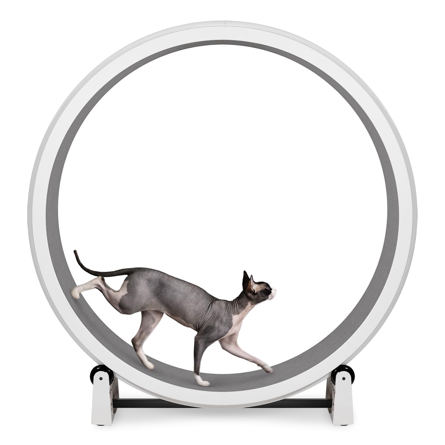 One Fast Cat Exercise Wheel, Gen 7, Safe 48” Diameter, Made in the USA