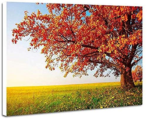 Puzle de 1000 piezas de rompecabezas de árbol de hojas rojas, para adultos, 1000 piezas, rompecabezas para niños, decoración del hogar para adultos Cover
