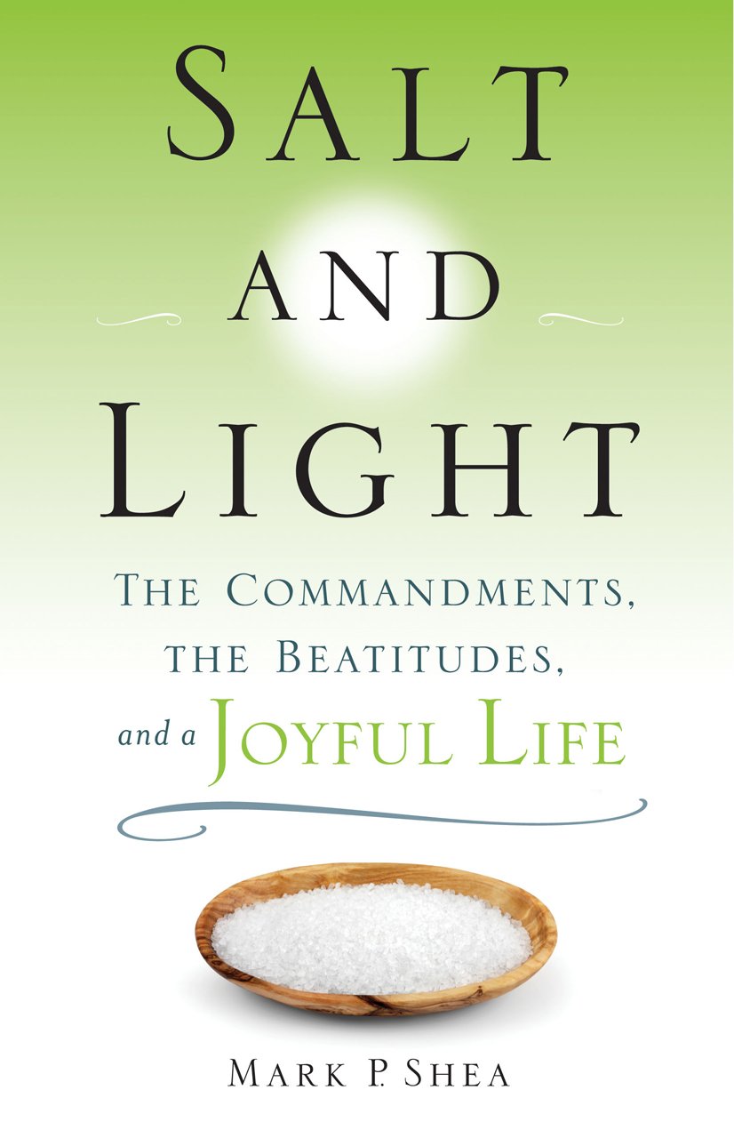 Buy Salt and Light : The Commandments, the Beatitudes, and a Joyful Life — BookShops.in