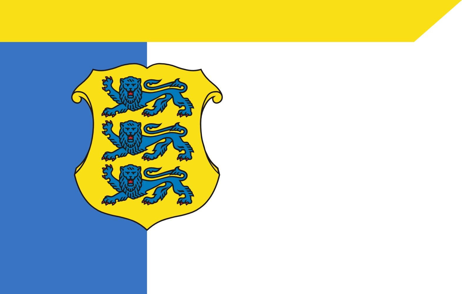 Drapeau Estonie XL militaire Lieutenant General pour collectionneur