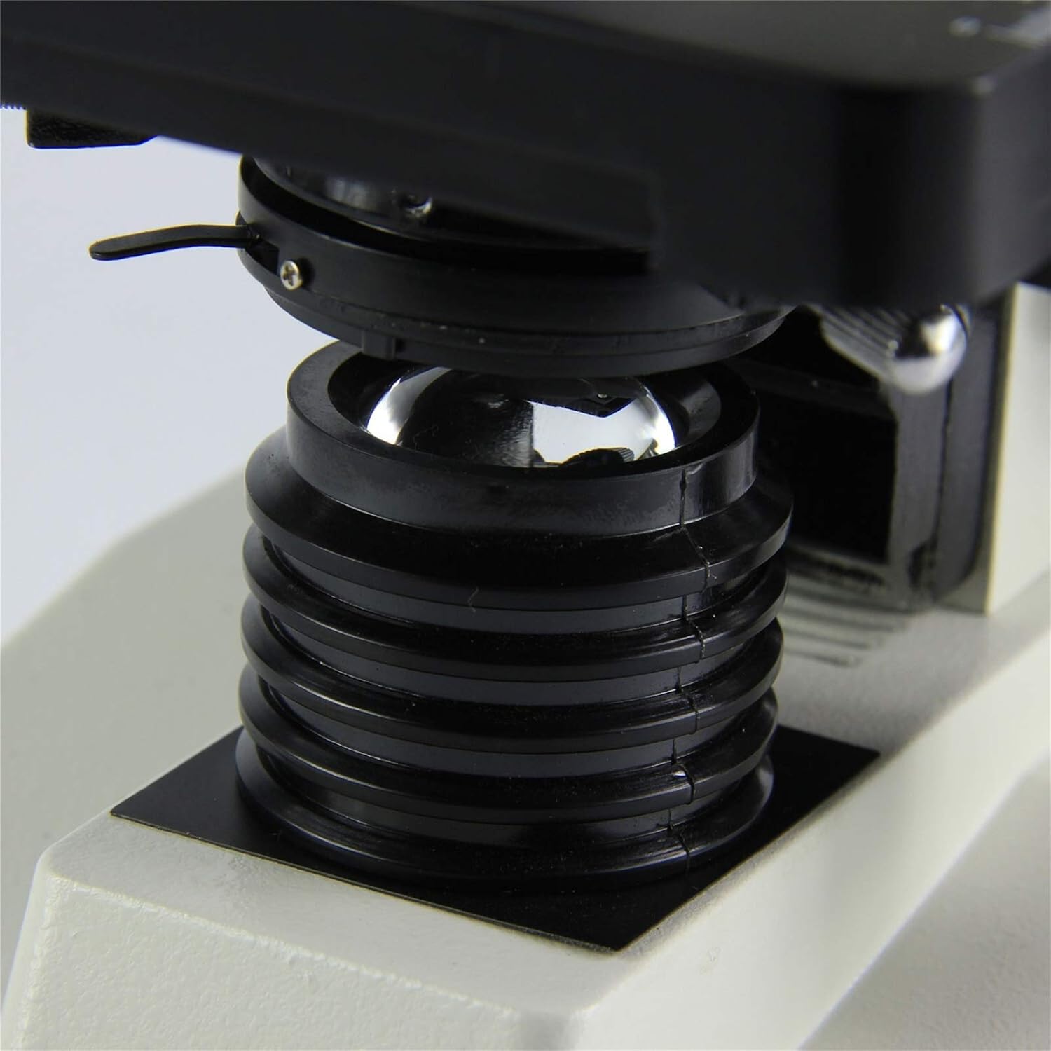 九谷焼 中村梅山 「雷鳥」 陶器 置物 オブジェ 共箱 木箱入り 和風