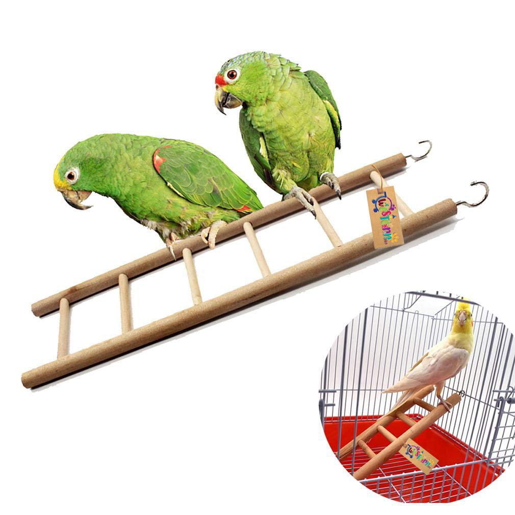 Western Era 5 Stairs Fun Natural Wooden Ladder Toy for Training, with Hooks, Designed for Birds, Parrot, Budgies and Other Small, Medium Large Bird (26cm) 1