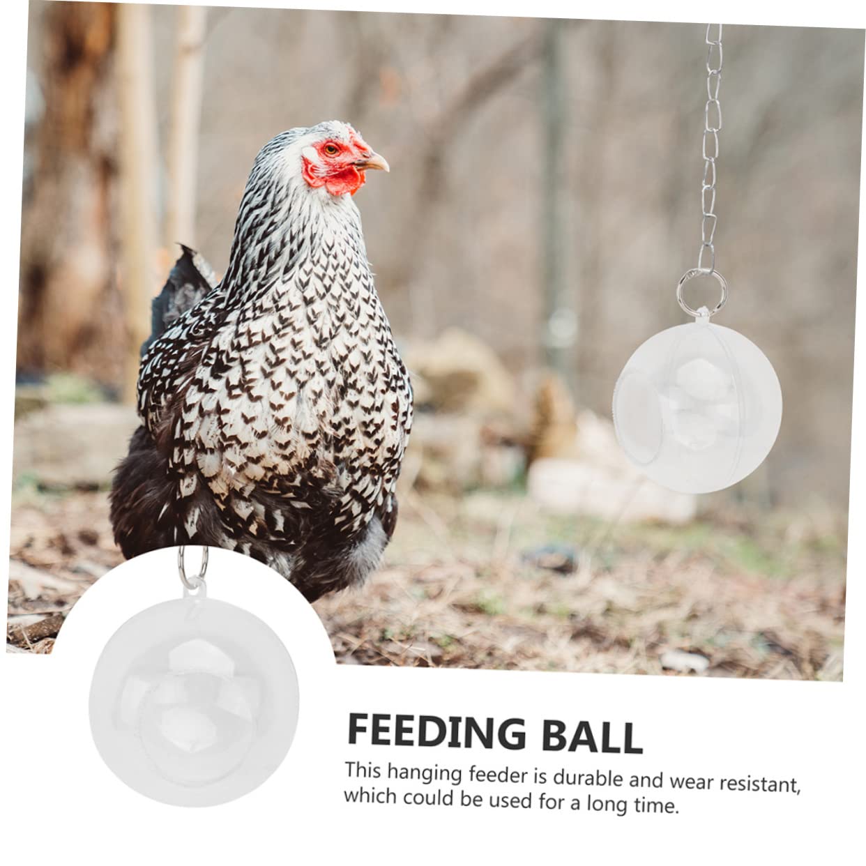 Angoily 6 Piezas Bola de alimentación alimentador de pájaros de Juguete Jaula de pájaros Comida Juguetes Bolas para Jaula de pájaros Suministros de alimentación de Aves Loro