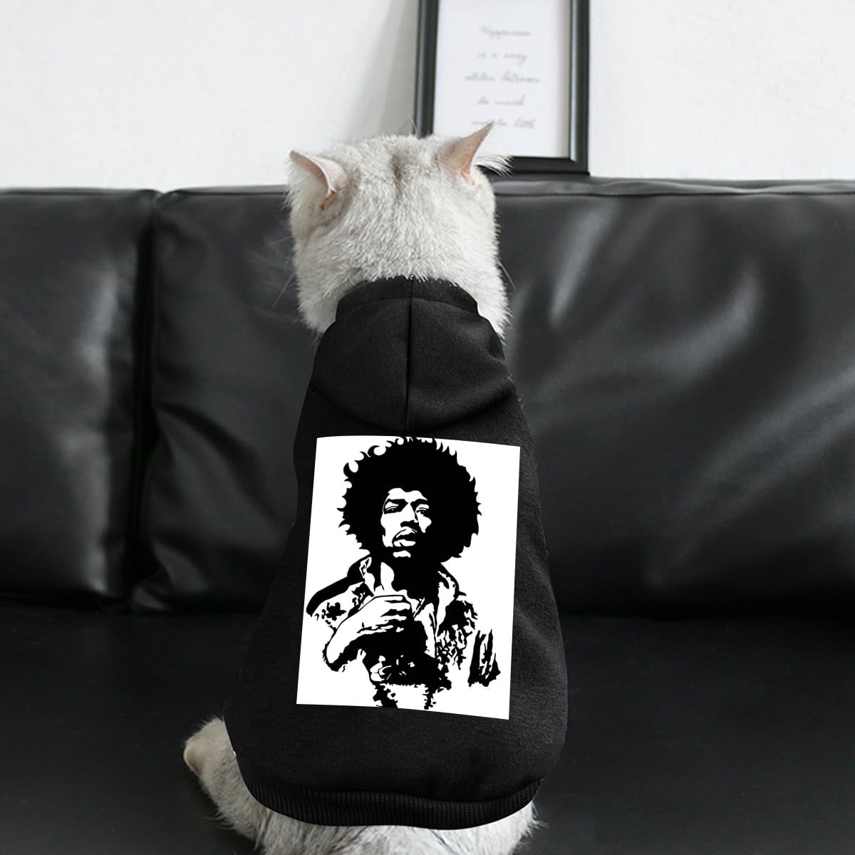 Amazon | Jimi Hendrix ジミヘン ジミ・ヘンドリックス ペット犬服