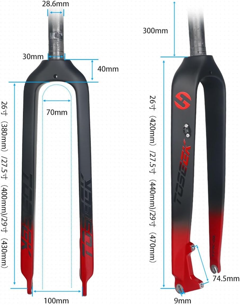 Full Carbon Bikes Rigid Fork 26" 27.5" 29" XC Mountain Bikes Fork 1-1/8'' Straight Tube Disc Brake Bikes Front Forks Quick Release Bike Hard Fork 9 * 100mm QR(Black White,29in)