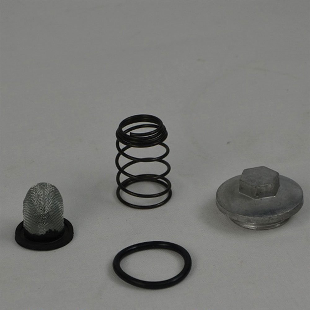 GoKartExports Kandi OEM Drain Bolt Kit for 150cc & 200cc GY6 Engines