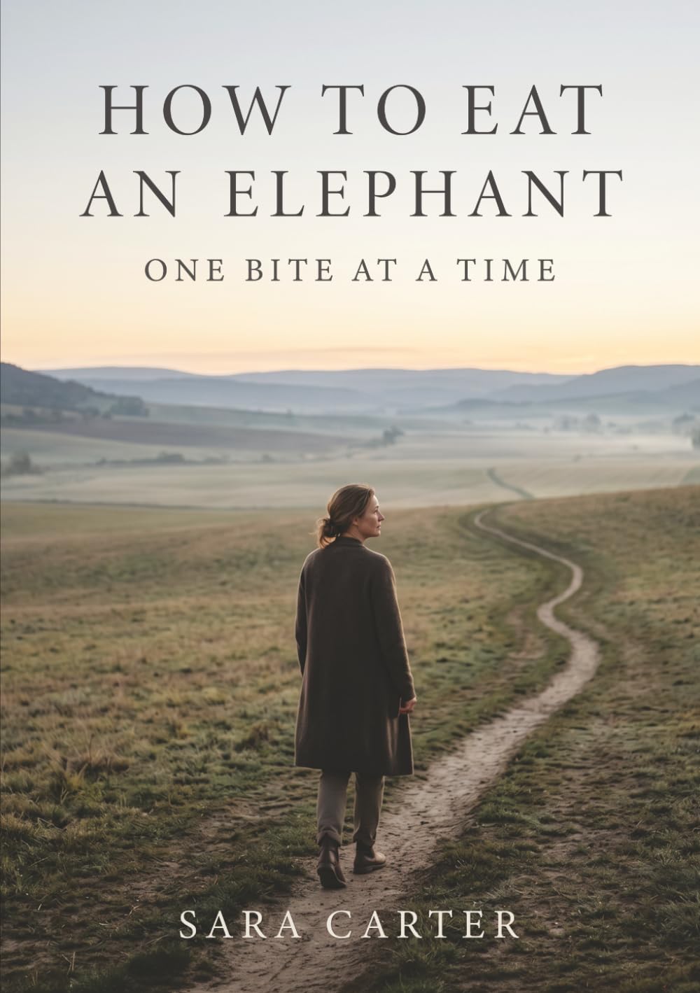 HOW TO EAT A ELEPHANT: ONE BITE AT A TIME