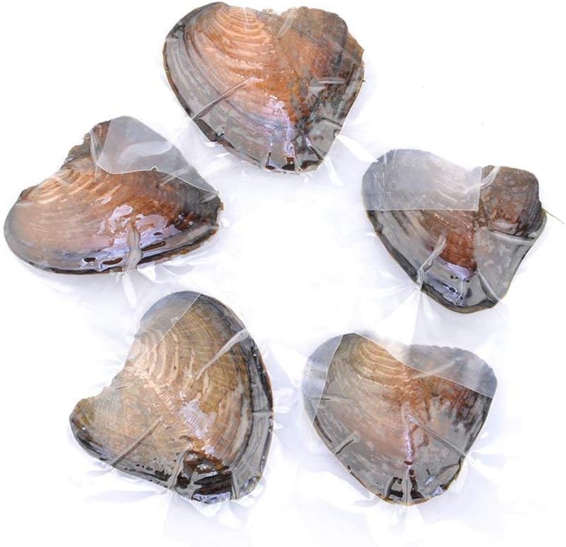 10 Pcs Akoya Oysters with Freshwater Cultured Oval Pearls Inside Wedding Birthday Gifts for Women (7.5-8mm)