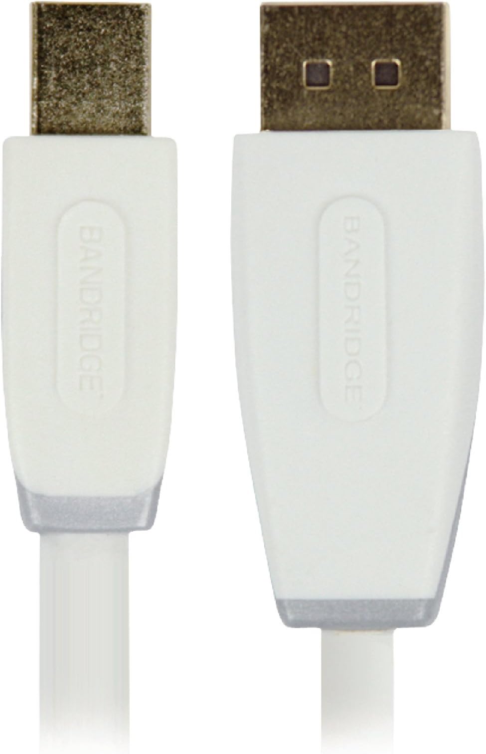 BANDRIDGEMini DisplayPort Adaptor Cable 3 m