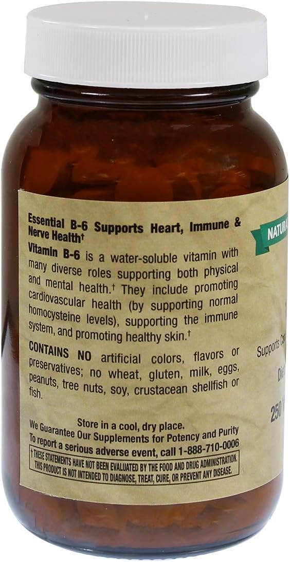Natural Vitamin Co. - B-6 100 mg, Vitamin B6 (as pyridoxine HCI) 100 mg, 5,000% Daily Value, 250 Tablets, 8+ Months Supply, Gluten Free, Vegetarian, Vegan (250) : Health & Household