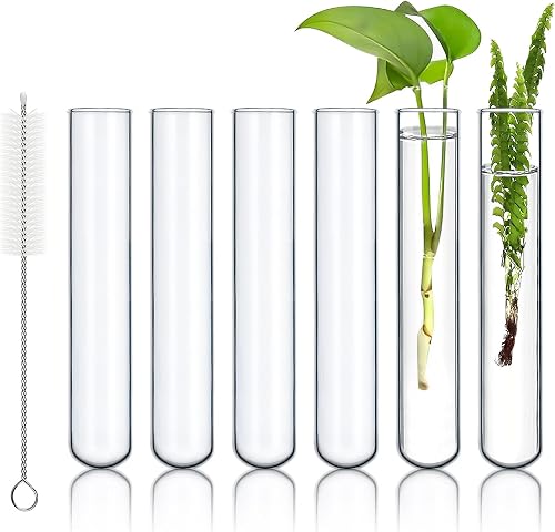 6pcs 100ml Large Glass Test Tube, 30x200mm Propagation Tube for Plant | 3.3 Borosilicate Clear Big Glass Test Tube Vase for Scientific Experiments Party Office Desktop Flower Decoration Wedding