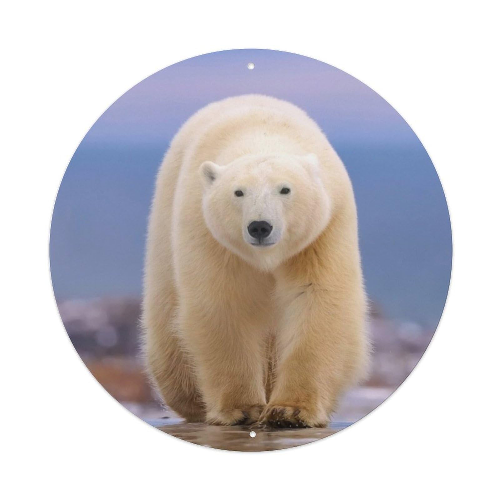 Animal Cute Polar Bears Metal Tin Sign