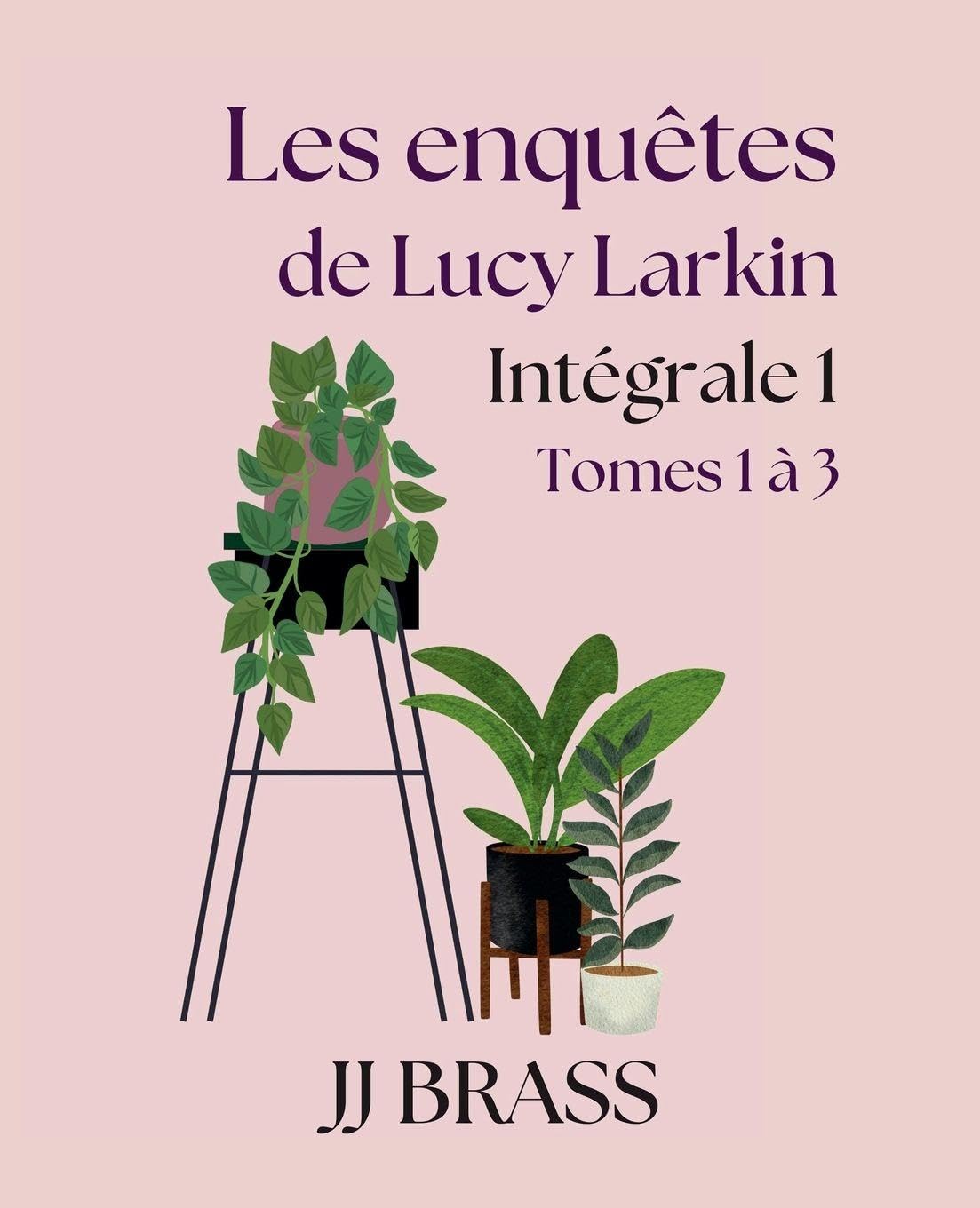 Les enquêtes de Lucy Larkin Intégrale 1: 3.5