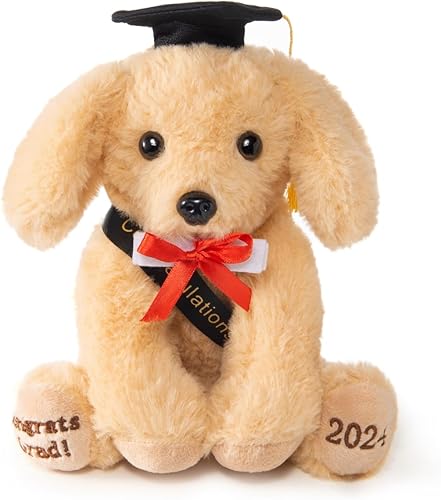 Regalo de graduación para la generación 2022 Oso de graduación de 8 pulgadas