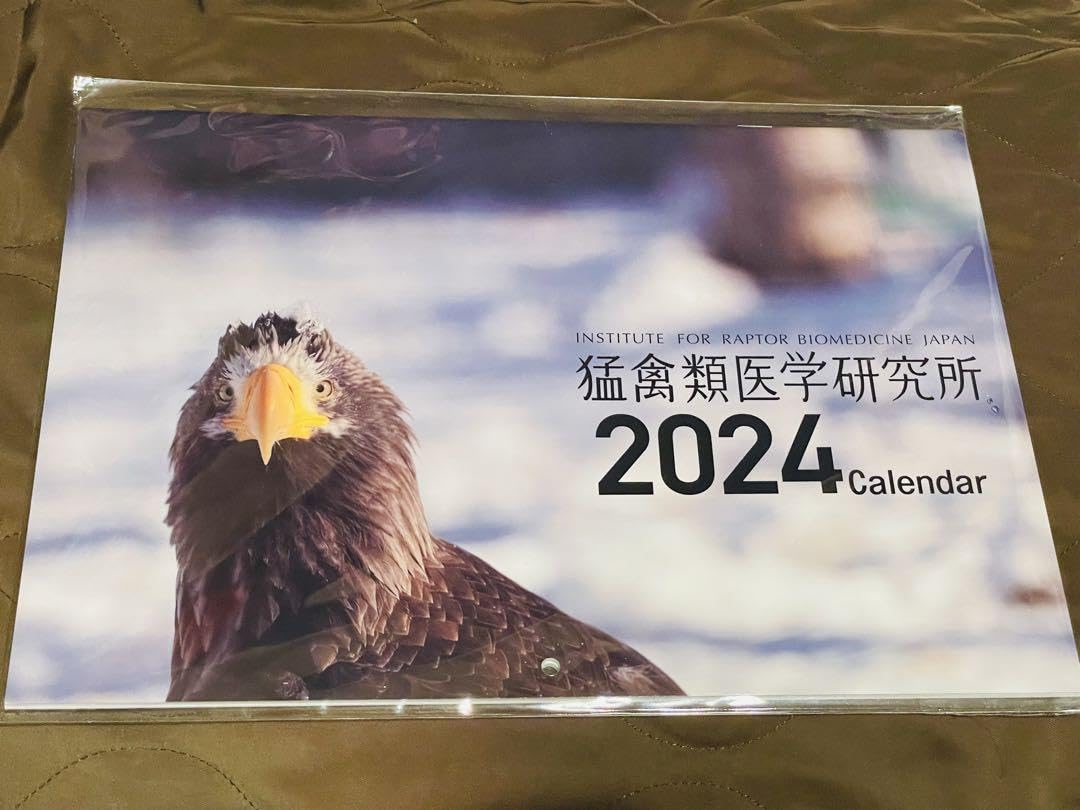猛禽類学 猛禽類学 | 山崎 亨 |本 | 通販 | Amazon