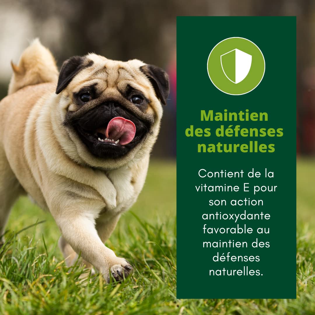 EQUILIBRE & INSTINCT - Chien Adulte - Petite Taille - Croquettes à la Volaille - Solidité des Os - Recette Complète Formulée avec des Vétérinaires - 5kg - Fabriqué en France