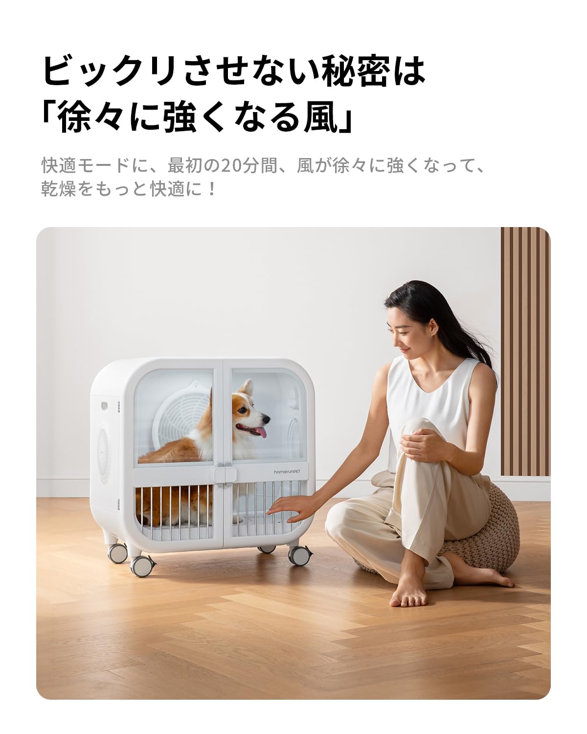 Amazon.co.jp: Homerunpet ペットドライルーム drybo ultra 【多頭用