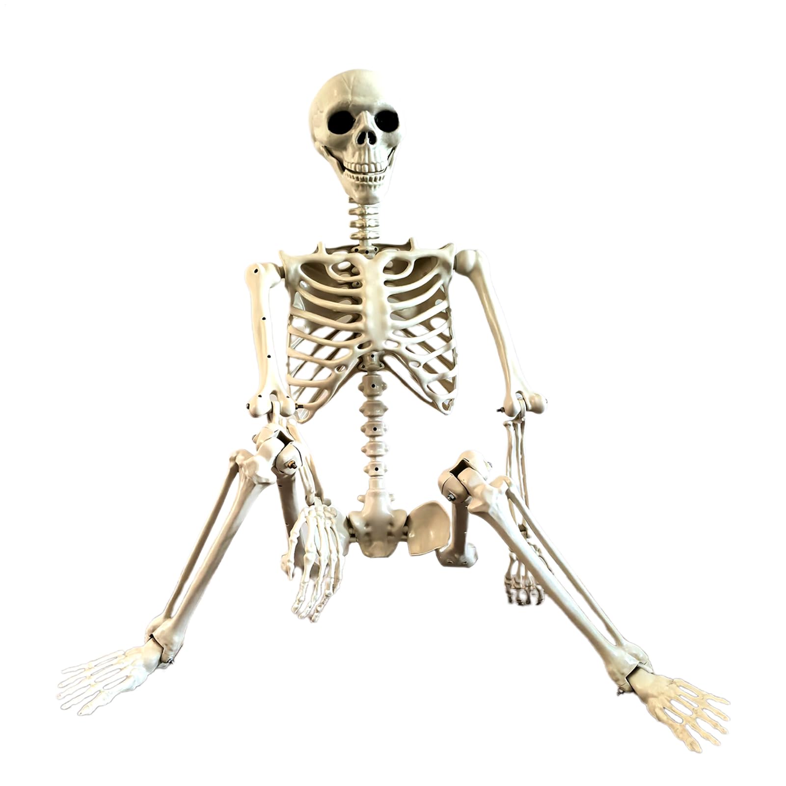 Scheletro Halloween a grandezza naturale 91 Cm Spettrale Realistico