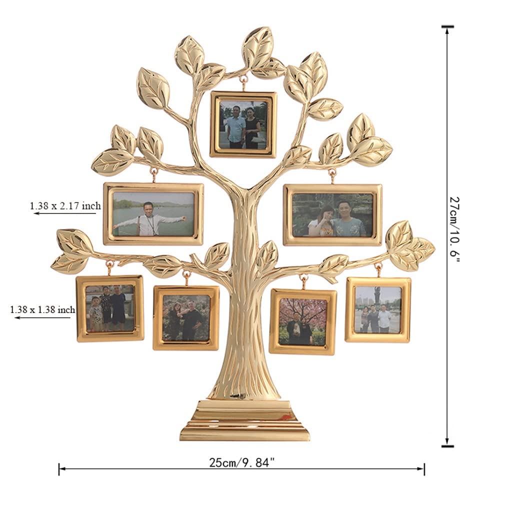 unused15aw STAMMBAUM スカジャン Amazon.com - USZWBY Family Tree Photo Frame with 7 Hanging