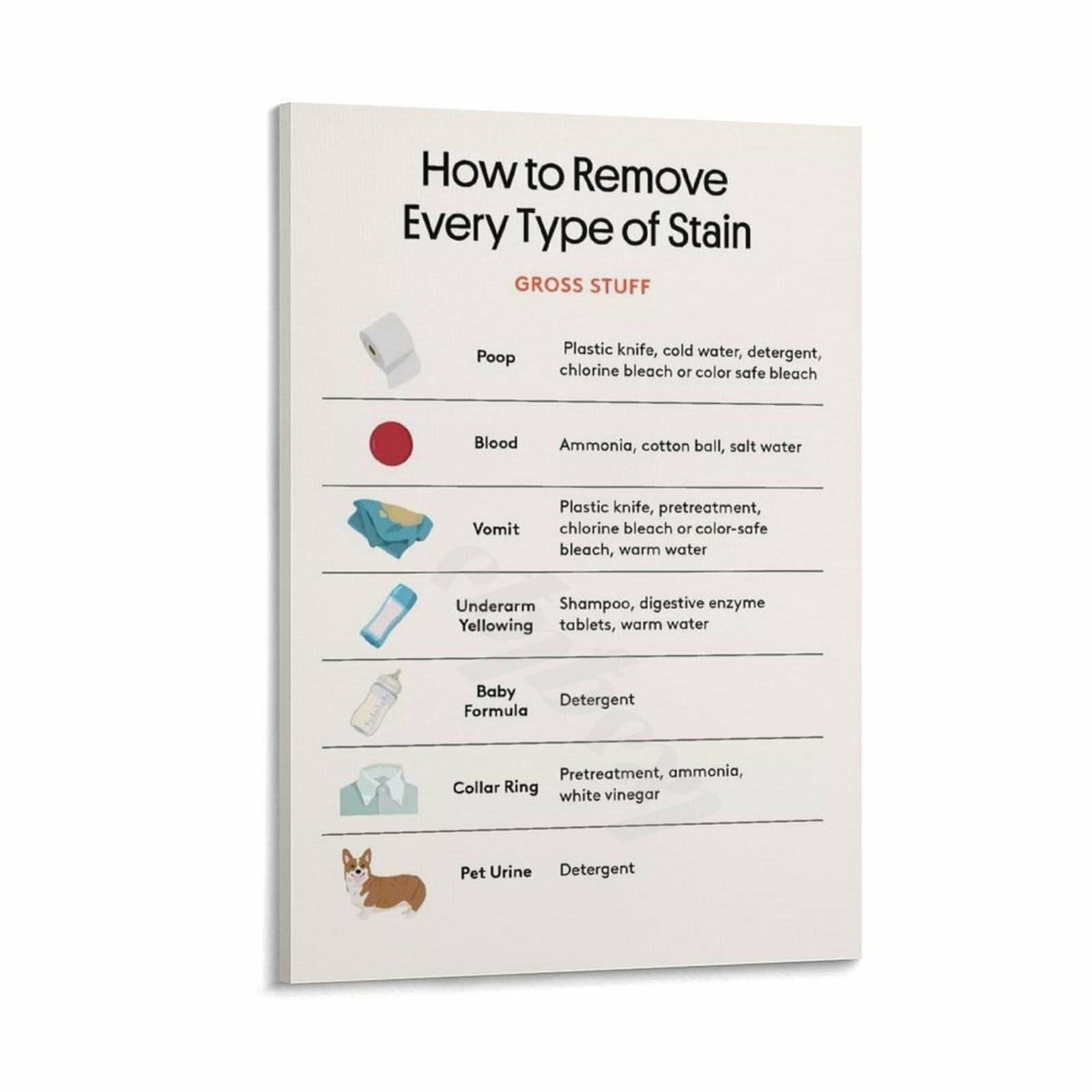 ZDVHOMCB Proactive Home Care Poster Preventative Stain Tips Guide Canvas Wall-Art for High Traffic Area Home Studio Decor Framed,08x12inch(20x30cm)