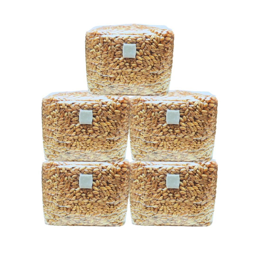Körnerbrutgrundlage Roggen steril 5 x 500g | Pilze selber züchten