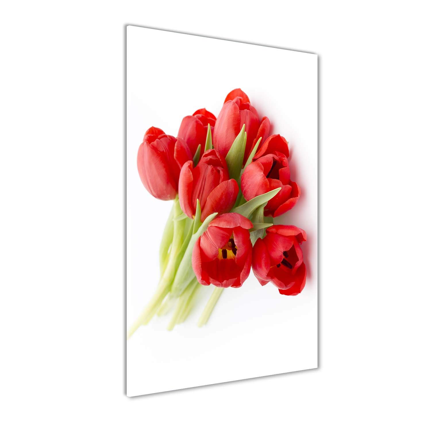Mural art de fleurs et plantes Tulup pour transformer un mur blanc facilement