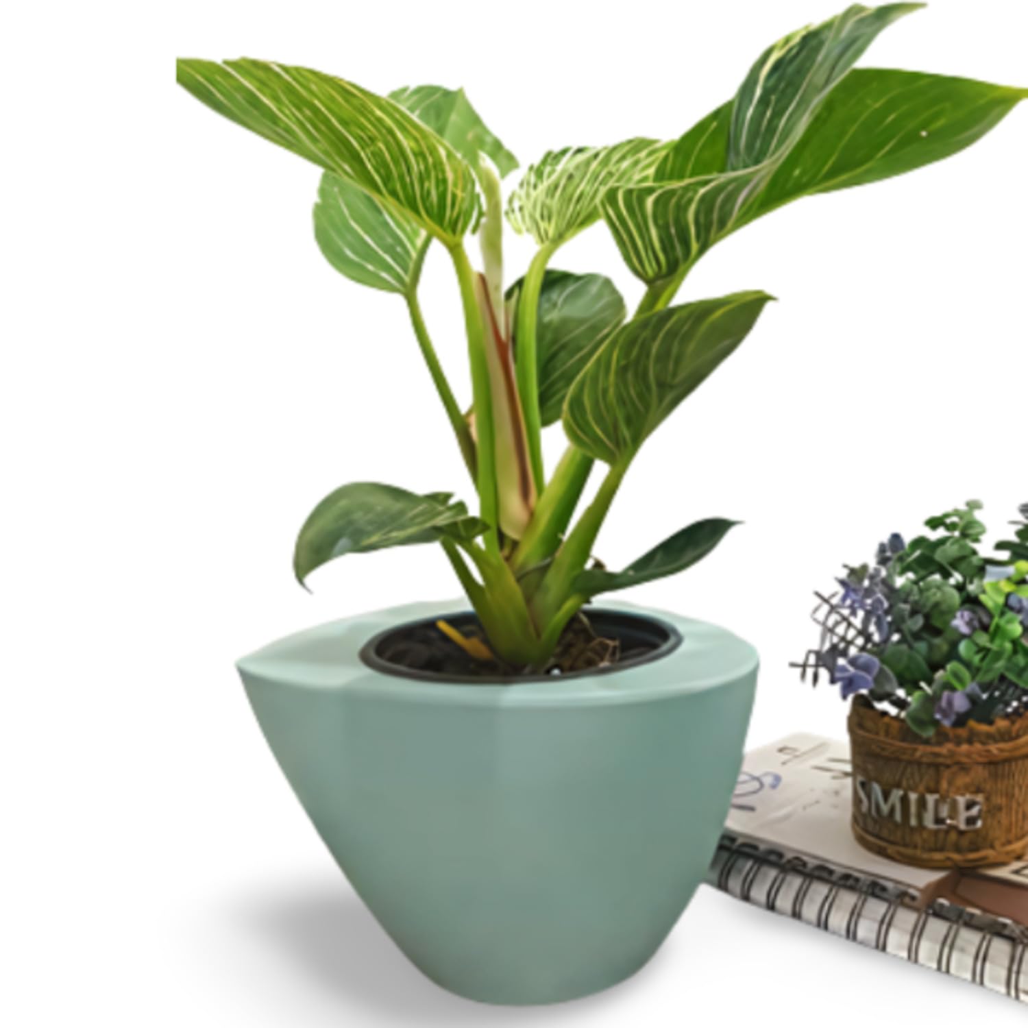 Garden Art Plastic Flower Planter Pot (Buy One Get One Free) for Indoor Outdoor Garden Balcony Terrace Windowsill Tabletop Home Office and Livingroom Décor for All House Plants (FT-1118(1) (B077HN5BCZ) Amazon Price History, Amazon Price Tracker