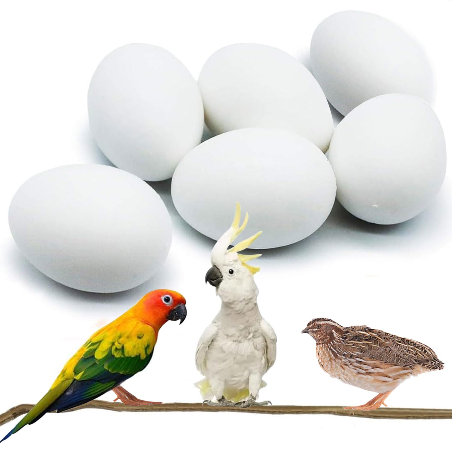 鳥と卵 27839-333-