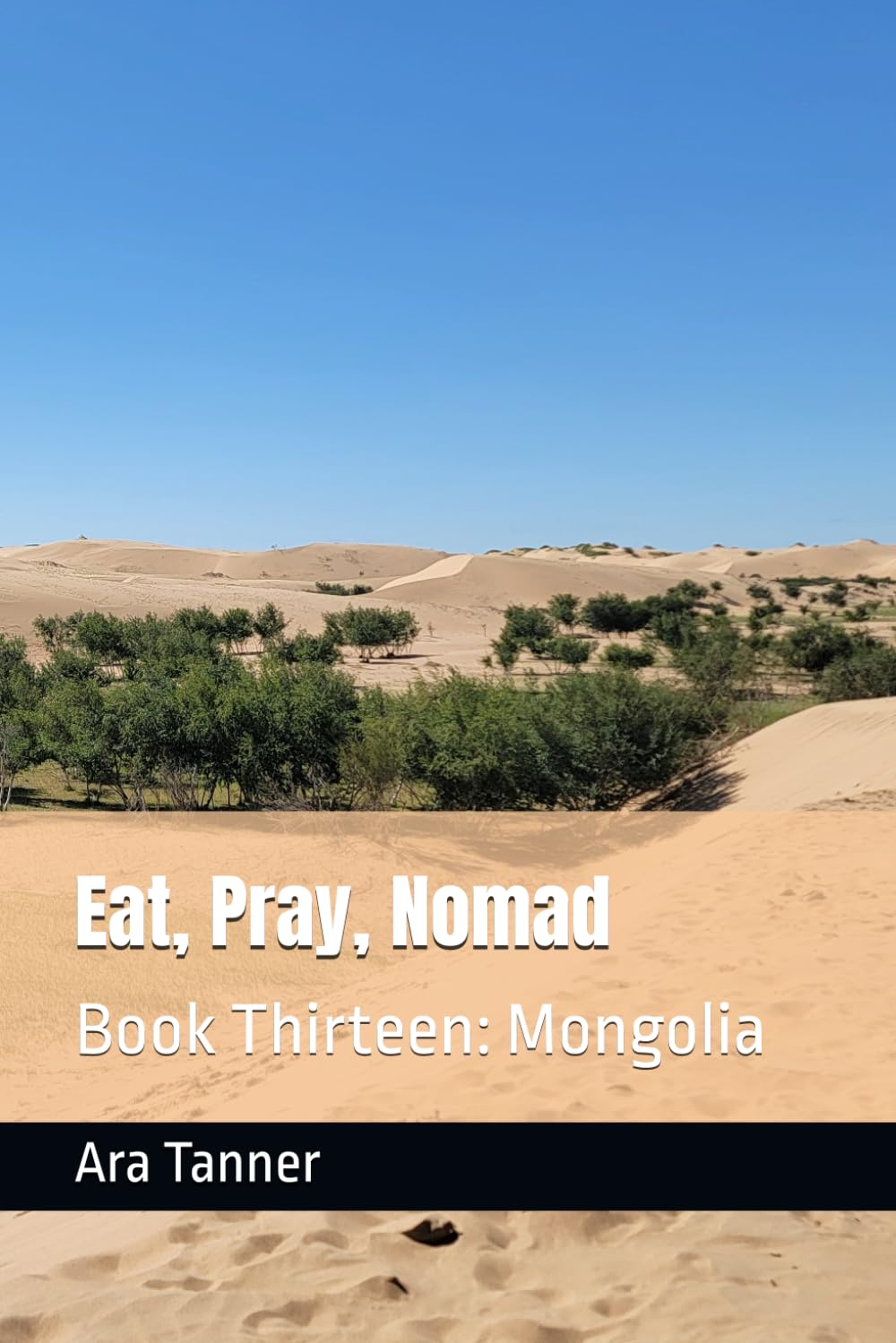 Eat, Pray, Nomad: Book Thirteen: Mongolia