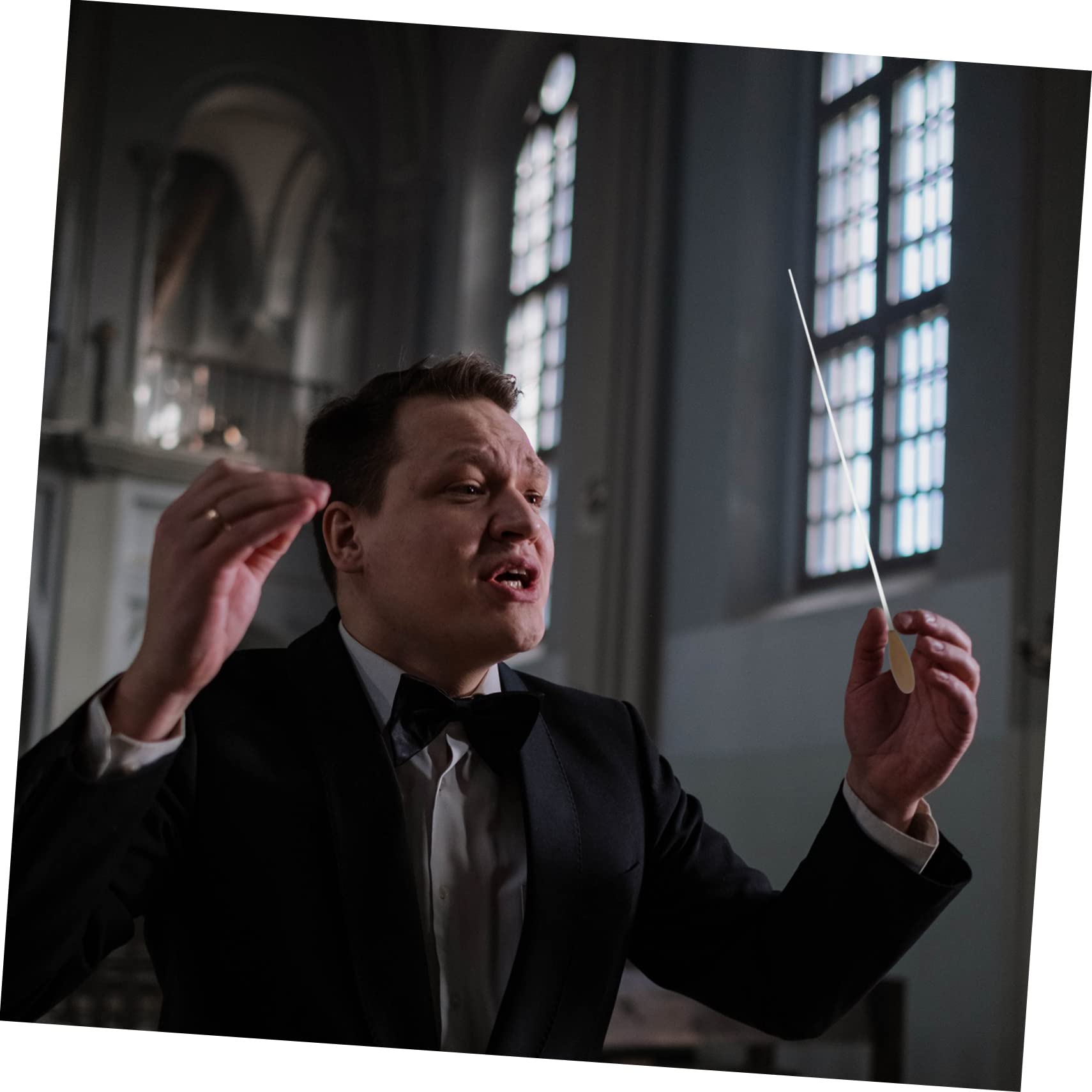 Abaodam Musical Conductor Wooden for Concert Elegant Pearwood for Teachers and Students Store