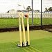 FORTRESS Spring Back Cricket Stumps - 28in ICC Regulation Stumps for Cricket | Club & Pro Styles | Spring Back Wickets & Bails | Freestanding Cricket Set for Seniors (Club (Hardwood))