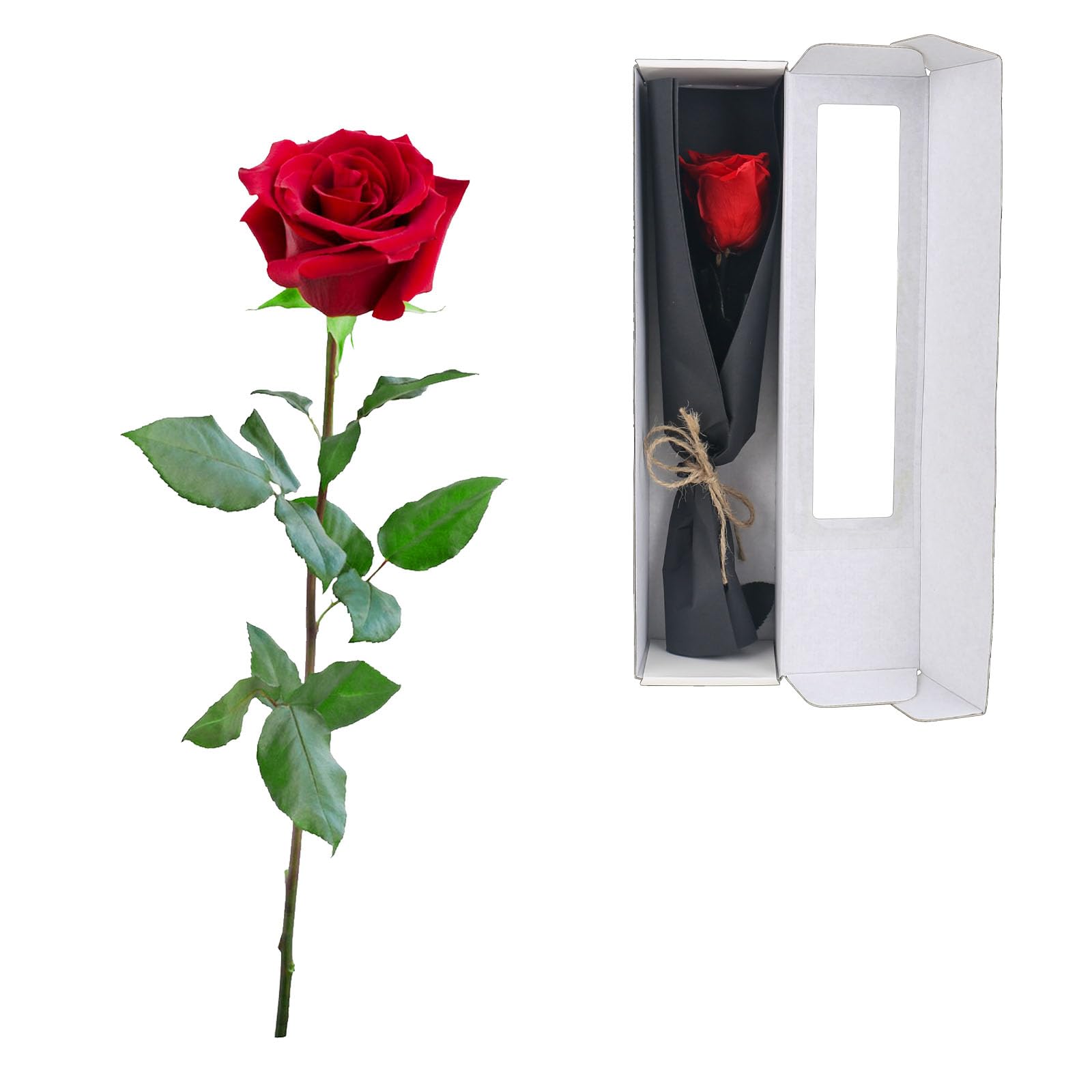Impouo Infinity Rozen, geconserveerde roos, eeuwige roos