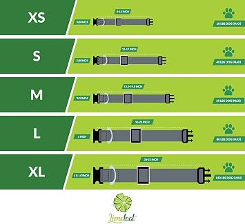 Limeloot Blue Dog Collar Small