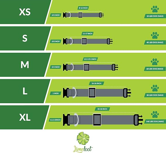 Limeloot Blue Dog Collar Small