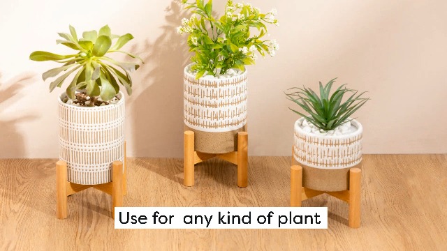 ★新品 Supreme Mini Planters (Set of 3) 71gWcAVQaFL._AC_UF350,