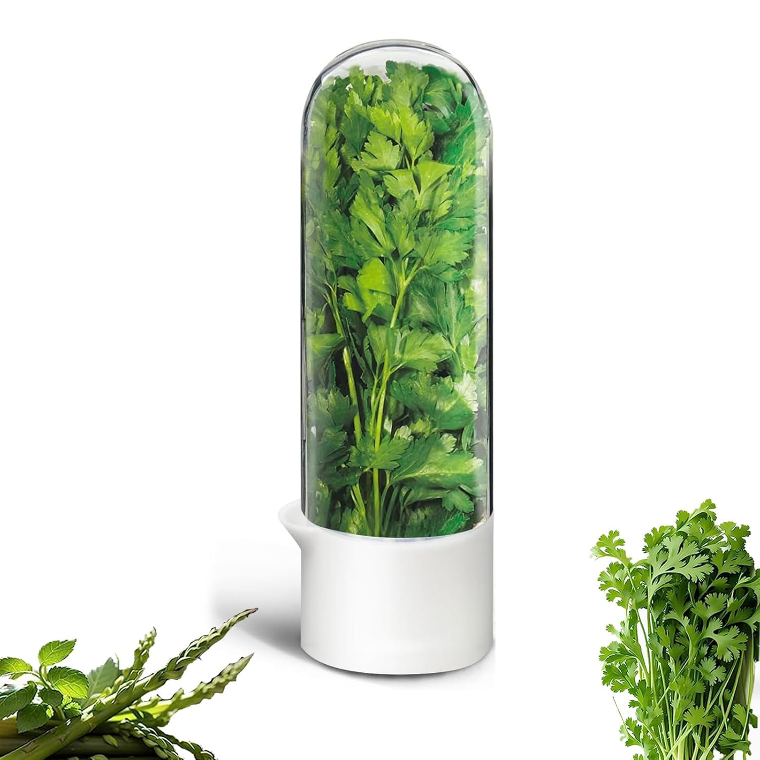 Herb Saver Pod for Fridge | Herb Storage Containers to Keep Greens Fresh Longer | Ideal for Coriander, Mint, Parsley, Cilantro & More (PACK OF 1)-image-47