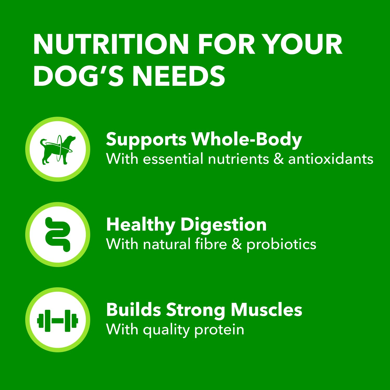 IAMS Proactive Health Minichunks Dry Dog Food – Crunchy Kibble for Adult Dogs – Chicken & Whole Grain Recipe – 1.50KG (3.3LB) Bag - 5