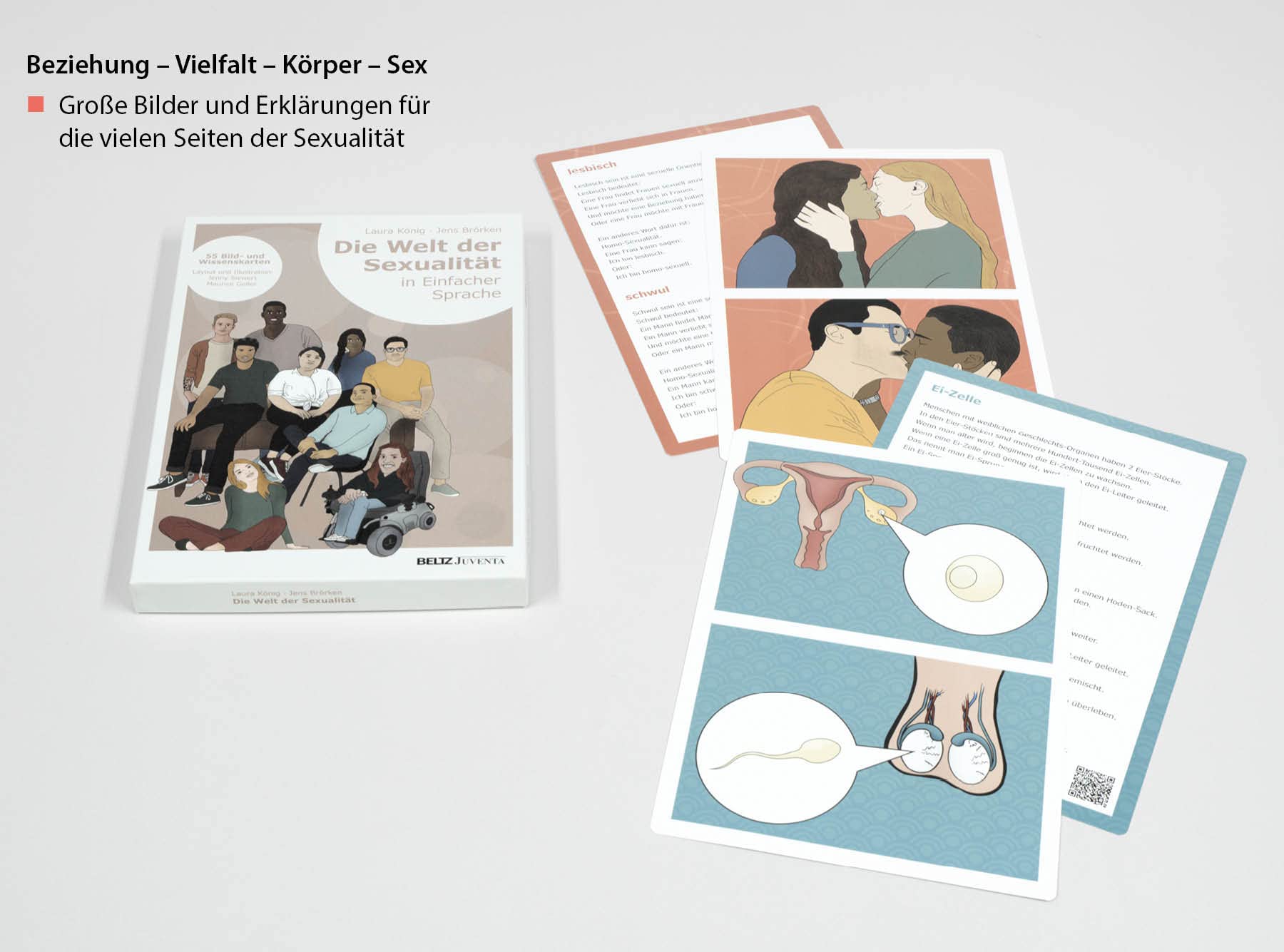 Die Welt der Sexualität: 55 Bild- und Wissenskarten in Einfacher Sprache (Kartensets für die Soziale Arbeit)