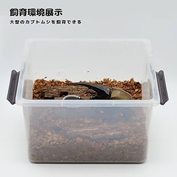 クワカブ引退用品　飼育ケース（おまけあり）① b489da1dc62779f6d0d33bb8f51876