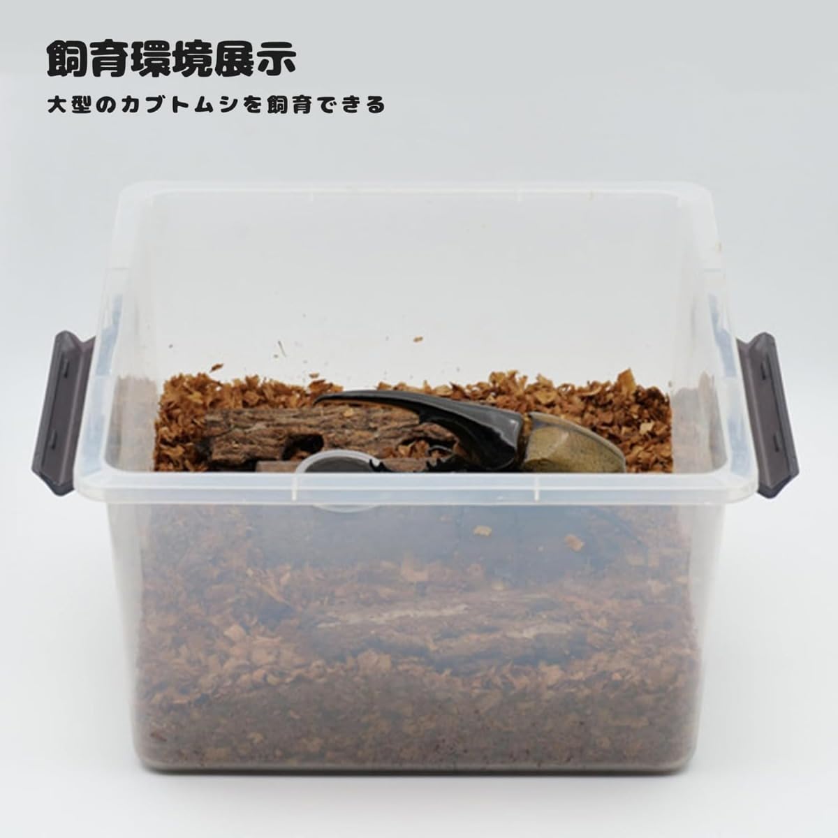 よしちゃん3個セット　⑦広い大きいカブトムシ用飼育ケース【DIY】 よしちゃん3個セット ⑦広い大きいカブトムシ用飼育ケース【DIY