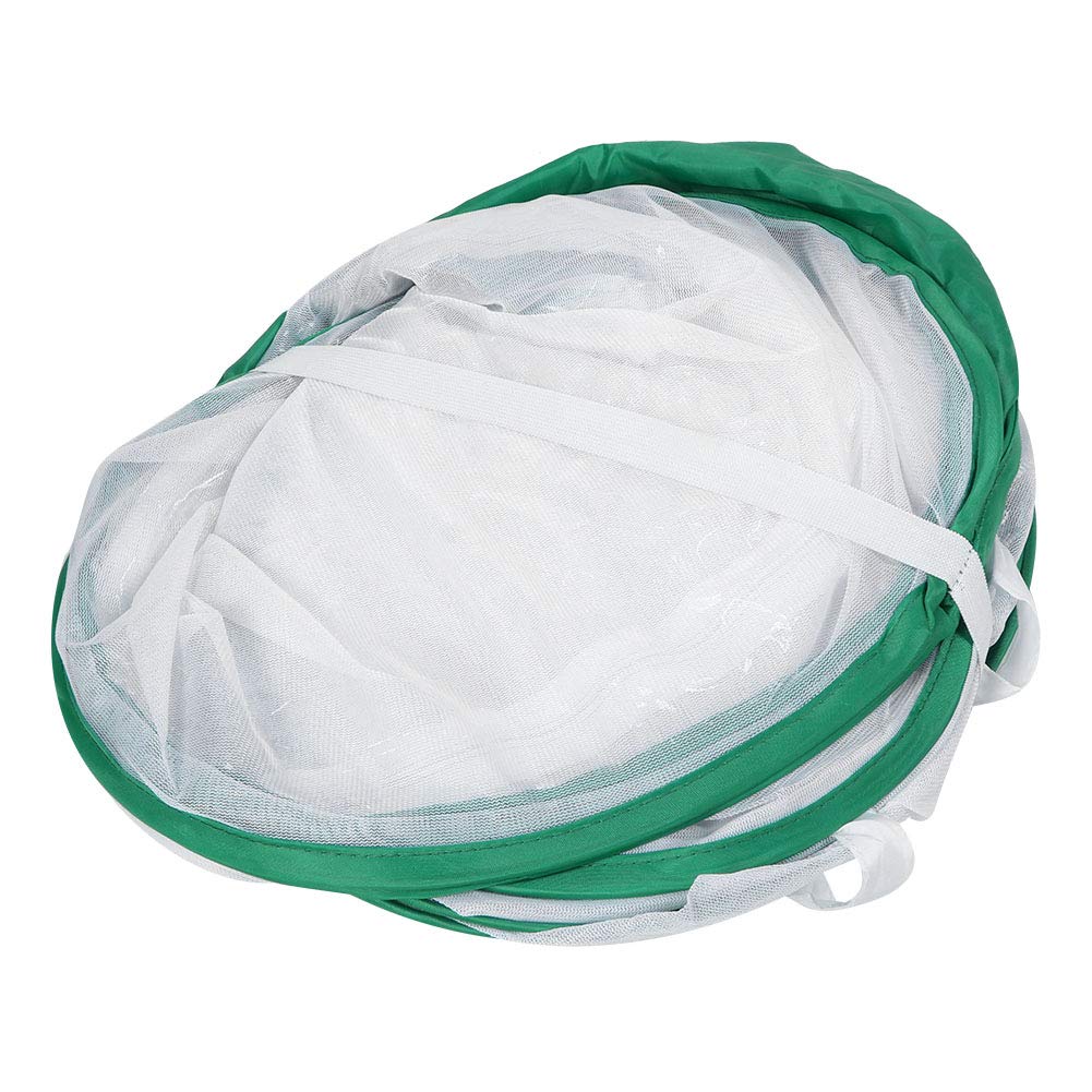 Pliante Cage Chenilles Papillons Kit Professionnel Tissu 60x60x90 cm